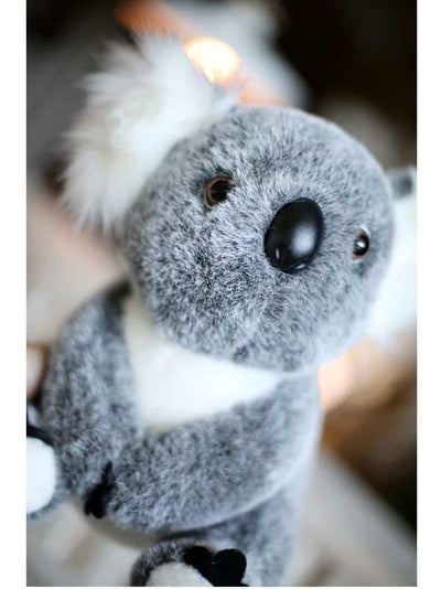 Bébé Koala Gris Peluche Mignon