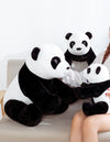 Doudou Panda Noir Blanc